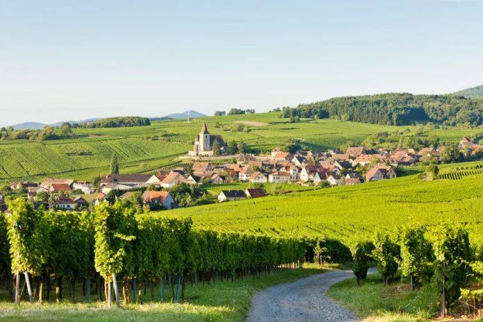 Du lịch qua những ngôi làng rượu vang Pháp và khám phá nét đẹp lịch sử