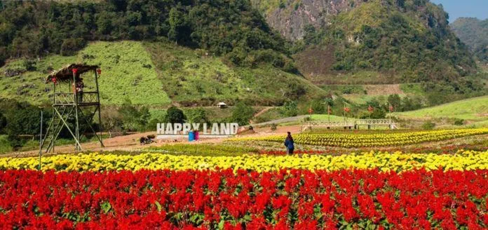 Giới trẻ “rần rần” rủ nhau đến xứ sở hạnh phúc – Mộc Châu Happy Land