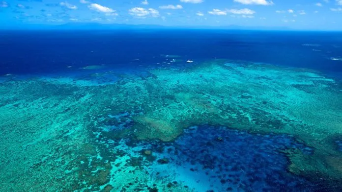 Great Barrier Reef – Tham quan rạn đá ngầm lớn nhất hành tinh