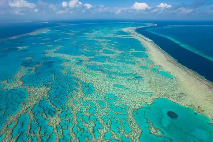 Great Barrier Reef – Tham quan rạn đá ngầm lớn nhất hành tinh