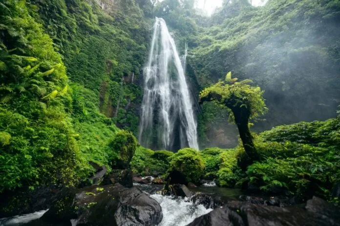 Hành trình khám phá Tiu Sekeper – thác nước cao nhất ở Lombok khi du lịch Indonesia