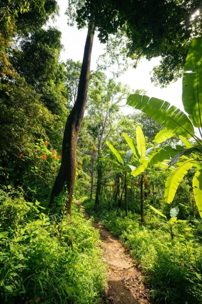 Hành trình khám phá Tiu Sekeper – thác nước cao nhất ở Lombok khi du lịch Indonesia