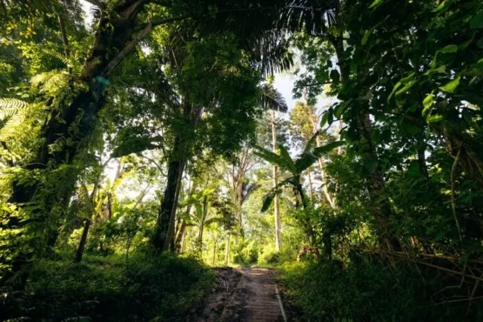 Hành trình khám phá Tiu Sekeper – thác nước cao nhất ở Lombok khi du lịch Indonesia