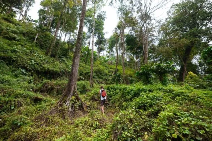 Hành trình khám phá Tiu Sekeper – thác nước cao nhất ở Lombok khi du lịch Indonesia