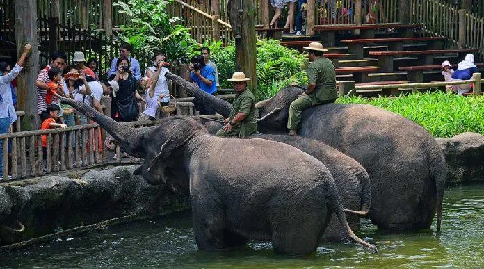 Khám phá 20 điểm du lịch siêu hấp dẫn được yêu thích ở Singapore