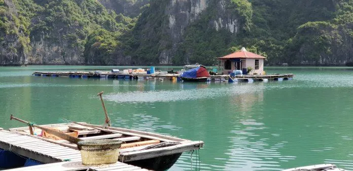 Khám phá 4 làng chài đẹp nhất Vịnh Hạ Long