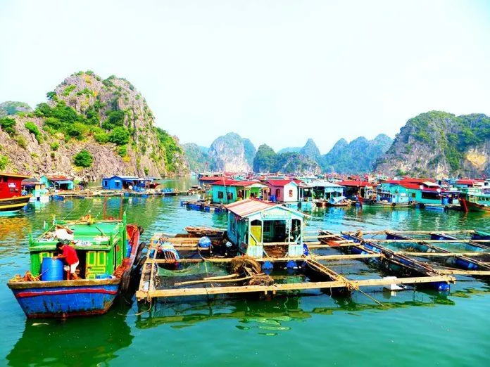 Khám phá 4 làng chài đẹp nhất Vịnh Hạ Long