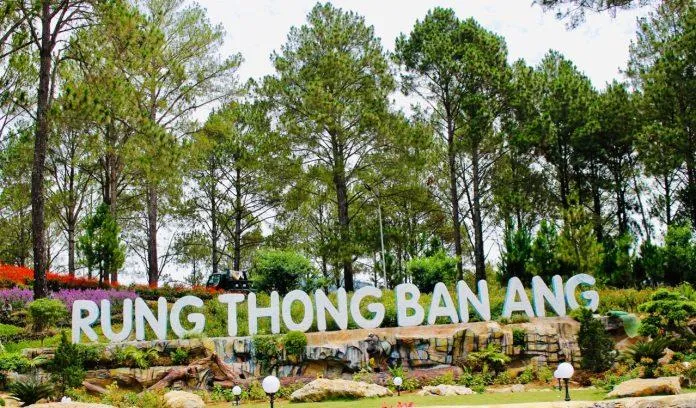 Khám phá 5 khu rừng nguyên sinh đẹp mê mẩn của Việt Nam trải dài khắp ba miền đất nước
