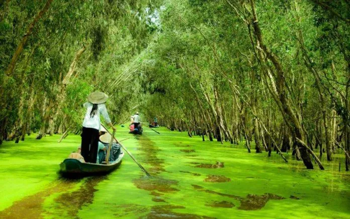Khám phá 5 khu rừng nguyên sinh đẹp mê mẩn của Việt Nam trải dài khắp ba miền đất nước
