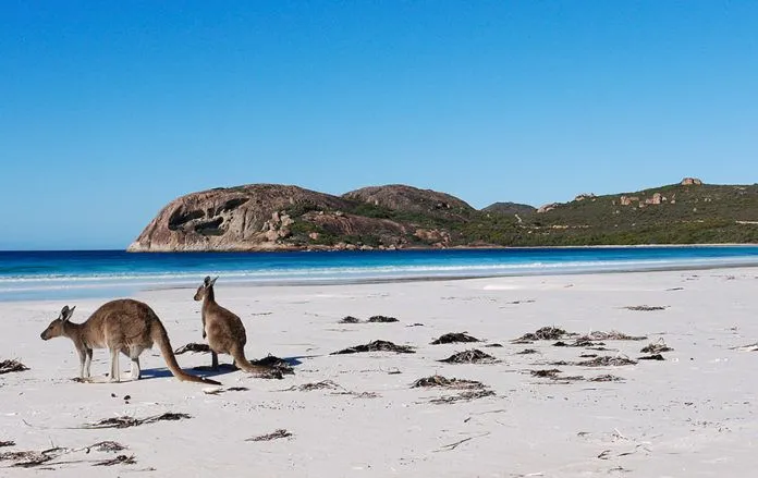 Khám phá Châu Úc đẹp rực rỡ qua chùm ảnh bốn mùa