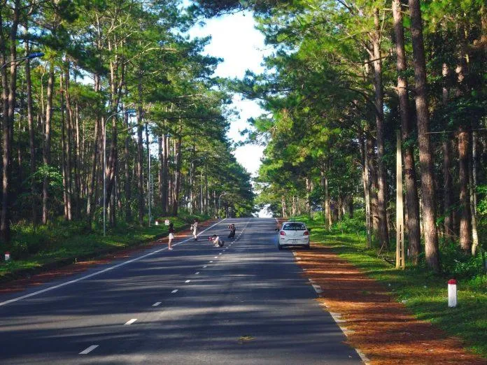 Khám phá du lịch Măng Đen – Kon Tum có gì hấp dẫn đáng trải nghiệm?