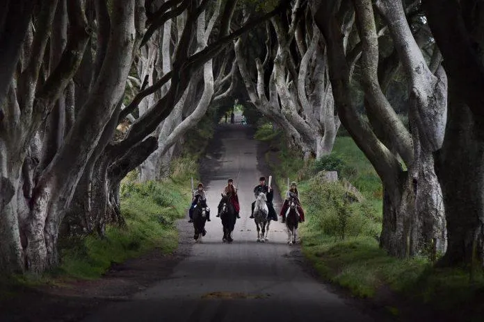 Cảnh quay ban đêm càng làm cho Dark Hedges toát lên vẻ "hắc ám" (Ảnh: Internet).