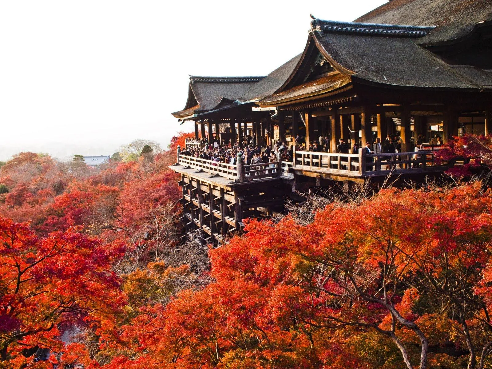 Khám phá ngôi chùa cổ độc đáo tuyệt đẹp ở Kyoto – Otawasan Kiyomizu