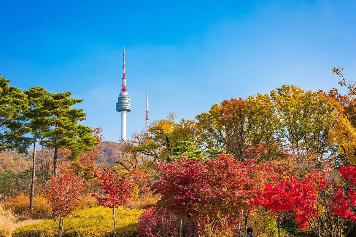Khám phá những địa điểm tham quan du lịch độc đáo tại Seoul, Hàn Quốc