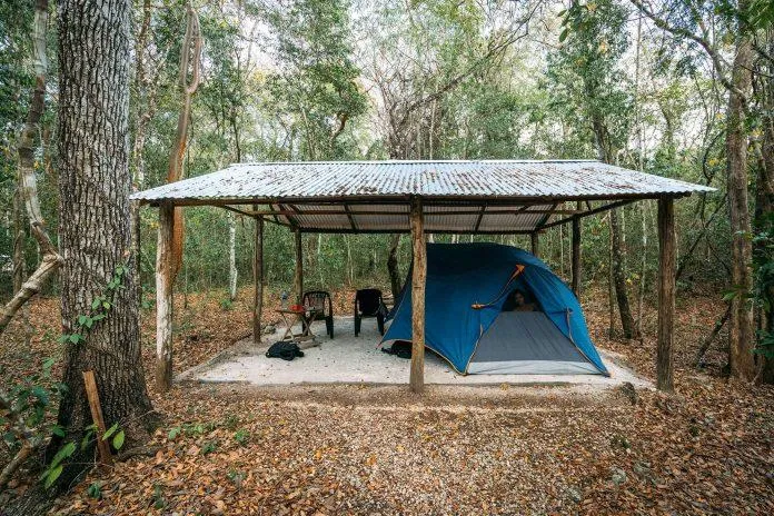 Khám phá tàn tích bí ẩn của người Maya ở Calakmul (Mexico)