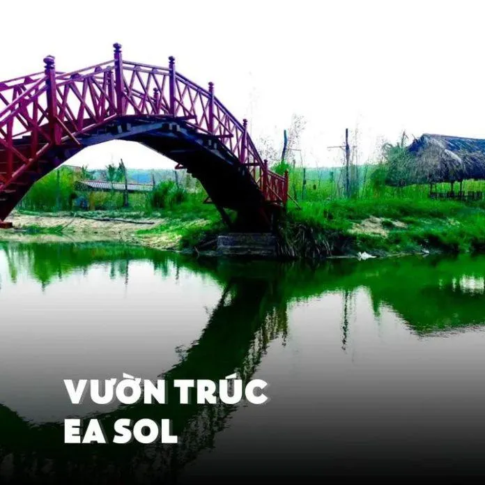 Không phải châu Âu, đây là địa điểm check-in cực chill ở Đắk Lắk – Cánh đồng quạt gió Ea H’leo