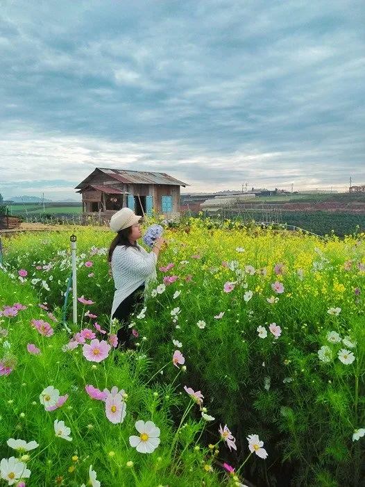 Kinh nghiệm du lịch Đà Lạt tự túc 3 ngày 2 đêm bằng xe máy chỉ với 1 triệu đồng