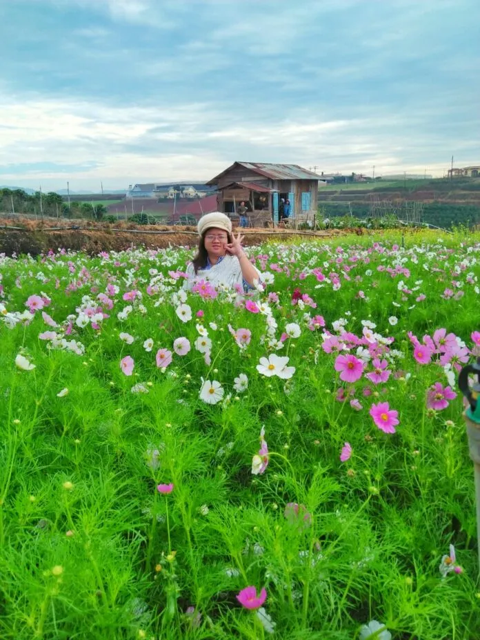 Kinh nghiệm du lịch Đà Lạt tự túc 3 ngày 2 đêm bằng xe máy chỉ với 1 triệu đồng