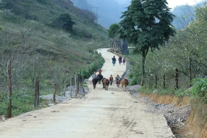 Kinh nghiệm du lịch Mộc Châu săn hoa đẹp ngỡ ngàng sau tết