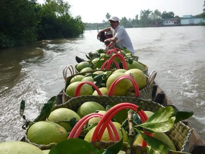 Kinh nghiệm du lịch Vĩnh Long thú vị và đáng nhớ