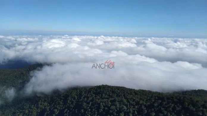 Kinh nghiệm trekking Chư Yang Lăk: Khám phá “biển mây” giữa Tây Nguyên đại ngàn