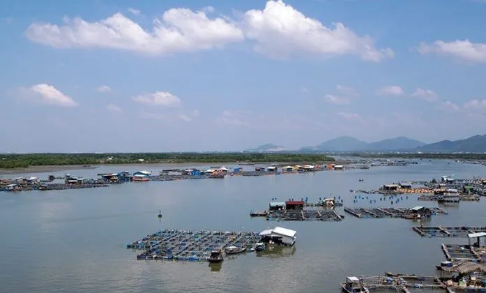 Làng bè Long Sơn – Vũng Tàu: Thỏa mãn cơn thèm khát các món hải sản yêu thích của bạn