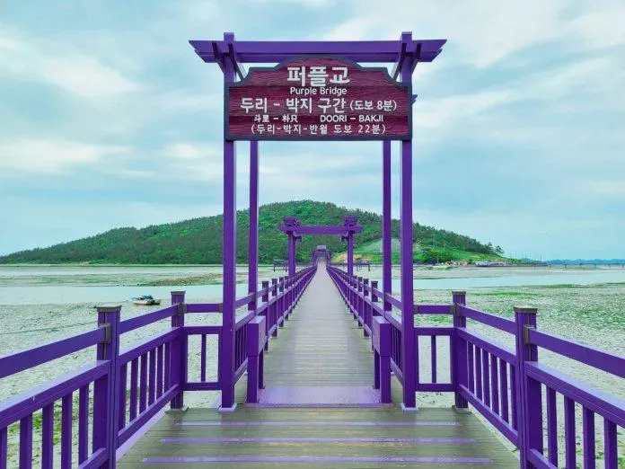 Mê màu tím thì không thể bỏ qua Đảo Tím Hàn Quốc có một không hai này!