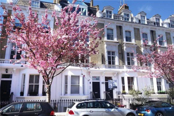 Mùa xuân London có hoa anh đào! Nhưng phải đến đâu để ngắm hoa đẹp nhất?
