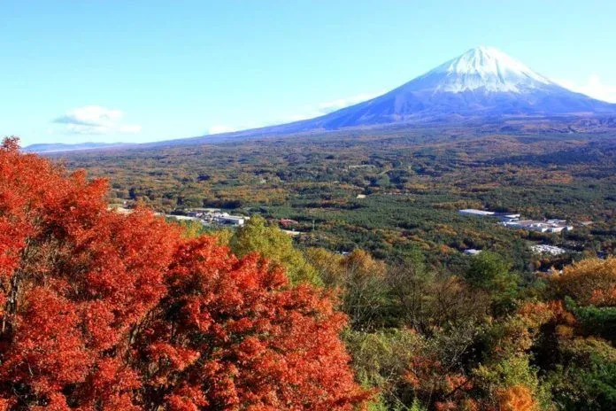 Ngắm nhìn núi Phú Sĩ đẹp rạng rỡ qua bốn mùa