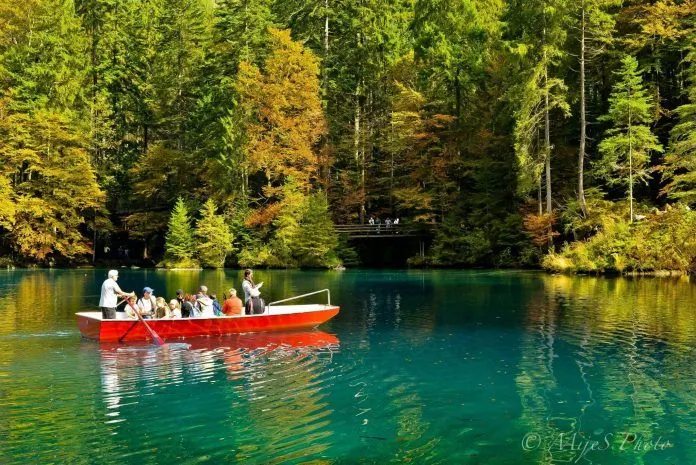 Ngẩn ngơ trước khung cảnh mùa thu của hồ Blausee