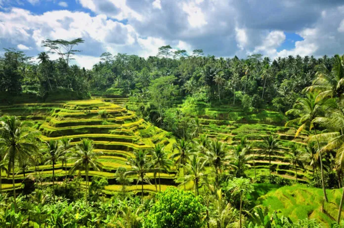 Những địa điểm phải ghé thăm khi du lịch Indonesia – xứ sở vạn đảo thiên nhiên tươi đẹp