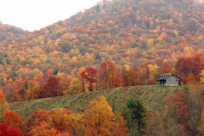 Những địa điểm tuyệt đẹp khi du lịch Mỹ vào mùa thu