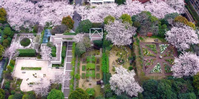 Những “hòn đảo xanh” trên bầu trời Tokyo: 7 khu vườn sân thượng tuyệt đẹp phải ghé thăm khi du lịch Nhật Bản