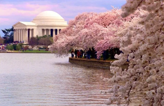 Những trải nghiệm thú vị khi đến Washington D.C