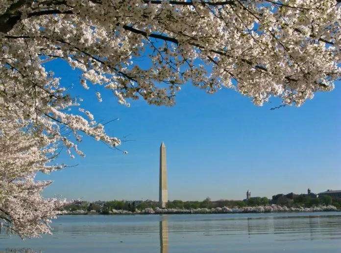 Những trải nghiệm thú vị khi đến Washington D.C