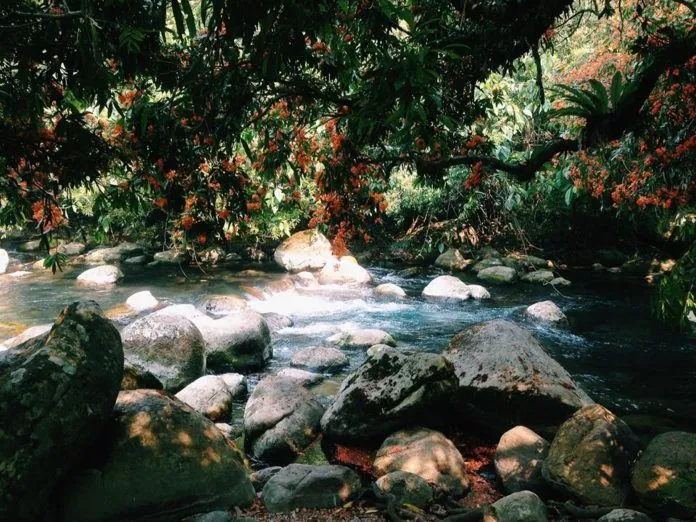 Suối nước Moọc – Viên ngọc xanh của Phong Nha