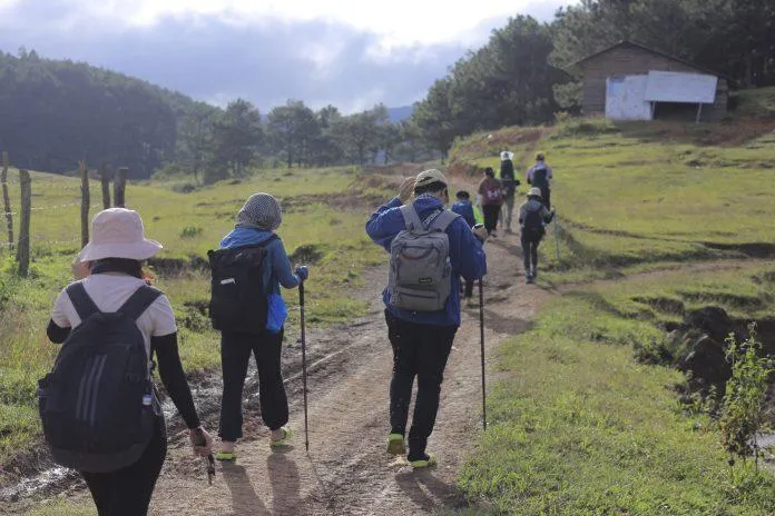 Tà Năng – Phan Dũng: Khám phá cung đường trekking được mệnh danh đẹp nhất Việt Nam