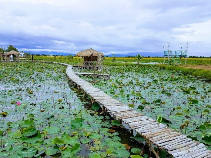 Tất tần tật về du lịch Ninh Thuận dành cho bạn: Ăn gì? Chơi ở đâu cho mới lạ?