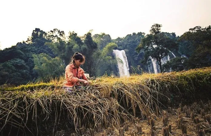 Thác Bản Giốc: “Ngất ngây lòng” với mỹ thác tự nhiên lớn bậc nhất Đông Nam Á