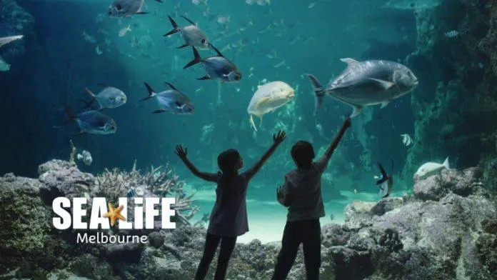 Thủy cung SEA LIFE Melbourne – Thiên đường kỳ diệu không thể bỏ qua khi du lịch nước Úc!