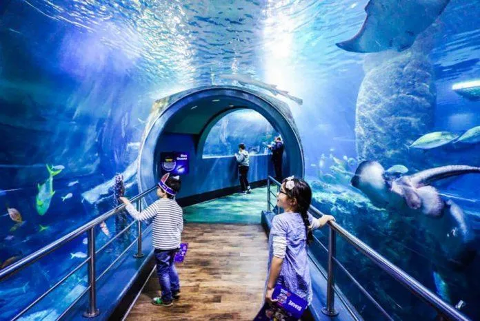 Thủy cung SEA LIFE Melbourne – Thiên đường kỳ diệu không thể bỏ qua khi du lịch nước Úc!