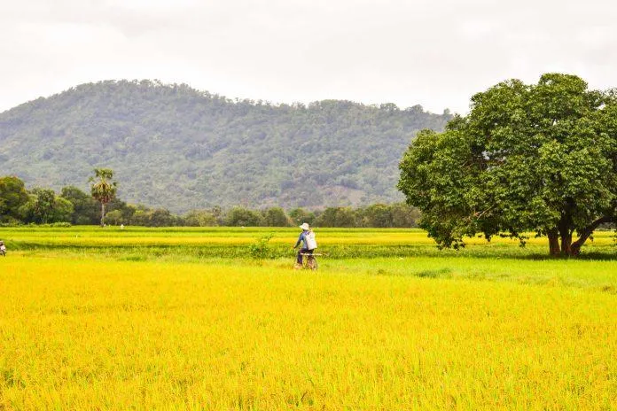 Top 22 địa điểm du lịch An Giang miễn phí: Vui chơi tẹt ga quên lối về