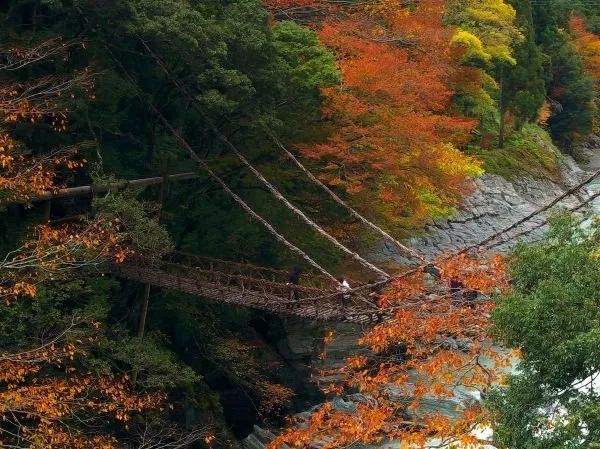 Top 5 địa điểm du lịch ở Nhật Bản đẹp mê mẩn như chốn thần tiên