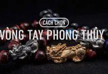 Trắng trời hoa cải Mộc Châu