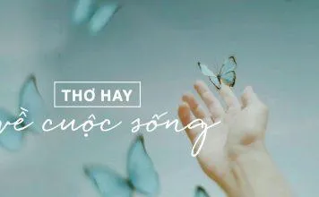 “Tuyệt tình cốc” Hải Phòng và những điều phượt thủ cần biết ngay!