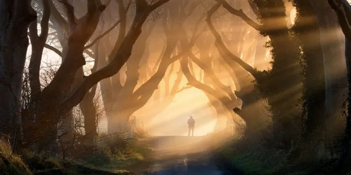 Vẻ đẹp huyền bí của hàng cây Dark Hedges trong Game of Thrones