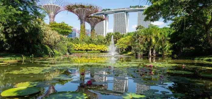 Vườn Bên Vịnh Singapore – Kỳ quan phi thường của thế giới cỏ cây và bàn tay con người!